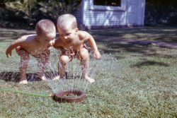 My brothers, circa 1960, from the family 35mm slide collection. 1018 Jones Ave, Racine Wisconsin I do not know the location, it does not look like any lot we lived on. My guess is it was a neighbor's house in South Bend, Indiana, where we have visited them before. | View full size.