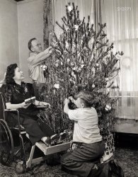 On this Christmas Eve,  we travel back 80 years for a visit with the First Lady of Shorpy, Iola Swinnerton. Some two decades after her bathing-pageant days, she is still radiating beauty and cheer. Scroll down to the comments for more of Iola's life story. View full size.

"STONE WOMAN" ENJOYS
CHRISTMAS PREPAREDNESS

&nbsp; &nbsp; &nbsp; &nbsp; CHICAGO (Dec. 23, 1944) -- Mrs. Iola Swinnerton Warren, who suffered the illness known as myositis ossificans after inoculation for typhoid following a Florida hurricane, watches her husband Theron V. Warren and little nephew Herbert Taylor trim Christmas tree. (Acme Newspictures photo)