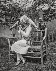 May 17, 1928. Washington, D.C. "Mrs. Victor J. Evans, who with her husband, a Washington attorney, have a private zoo just outside of the National Capital, is shown feeding the blue and white macaws she has tamed." 4x5 inch glass negative by Harris & Ewing. View full size.