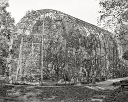 Circa 1906. "Great flying bird cage, zoo park, Washington, D.C." 8x10 inch dry plate glass negative, Detroit Publishing Company. View full size.
&nbsp; &nbsp; &nbsp; &nbsp; The new flying cage for aquatic birds in the ravine near the Connecticut avenue entrance will prove one of the most interesting features of the Zoo. It is fifty feet in length, of corresponding height, and has a miniature lake its entire length. It contains fifty-five fine specimens of aquatic birds, from the big marabou heron, four feet in height, to the little heron of twelve inches. Cormorants, snake-darters, pelicans, great blue herons, European storks, and other water birds make a lively scene.
-- Washington Post, Nov. 23, 1902