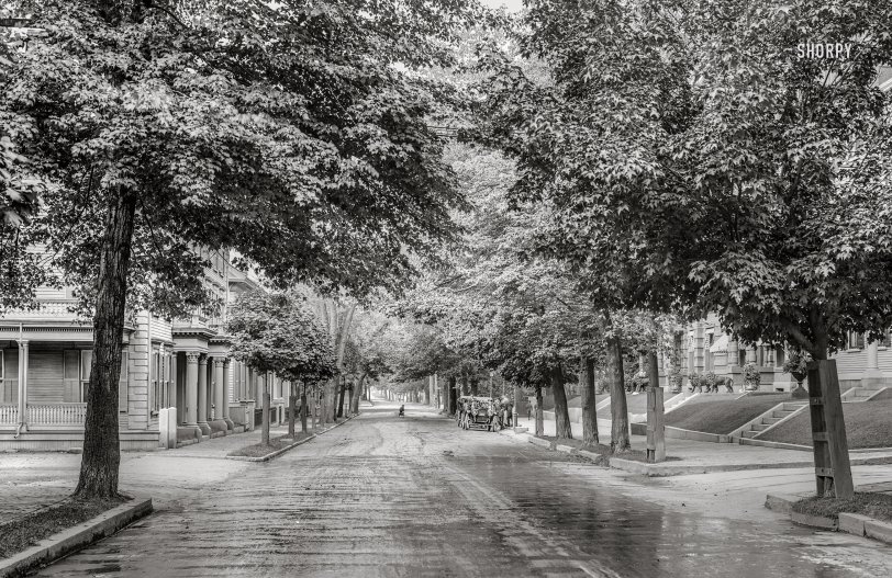 Portsmouth, New Hampshire, circa 1909. "State Street near Rockingham Hotel." Detail of 8x10 inch dry plate glass negative, Detroit Publishing Company. View full size.