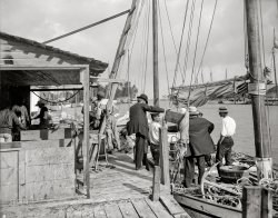 The Sunshine State circa 1900. "Miami, Fla., fish docks along the Miami River." 8x10 inch dry plate glass negative, Detroit Photographic Company. View full size.