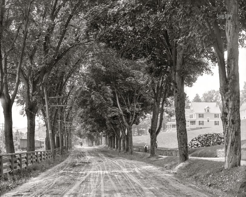 1908. "Main Street -- Plymouth, New Hampshire." 8x10 inch dry plate glass negative, Detroit Publishing Company. View full size.