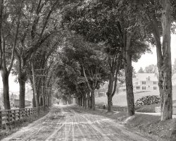 1908. "Main Street -- Plymouth, New Hampshire." 8x10 inch dry plate glass negative, Detroit Publishing Company. View full size.