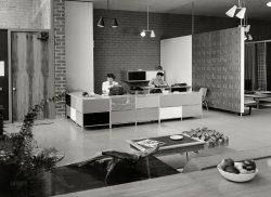 Los Angeles, 1950. "Herman Miller furniture showroom, 8806 Beverly Boulevard, West Hollywood." Designed by Charles and Ray Eames. View full size.