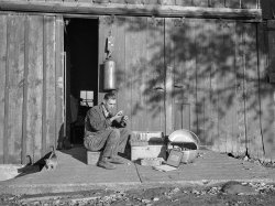 November 1939. Black Hawk County, Iowa. "In the past, most milk testing associations have been formed by farmers in the higher-income brackets. This milk-tester works for an association of low-income farmers who heretofore have either lacked the necessary funds or have been unaware of such associations' value. The group was formed with the aid of the Farm Security Administration." Medium format negative by Arthur Rothstein for the FSA. View full size.