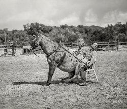 June 1940. "Clown rider with his trick mule at rodeo. Quemado, New Mexico." Photo by Russell Lee for the Farm Security Administration. View full size.