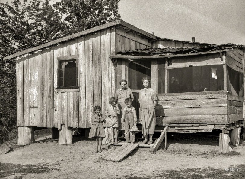 May 1936. "Sharecropper's family in Mississippi County, Missouri. Typical sharecropper shack with crop entirely surrounding house." Medium format nitrate negative by Carl Mydans for the Resettlement Administration. View full size.