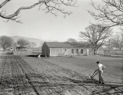 February 1936. "El Monte, California, federal subsistence homesteads. Four in family. Three-room house, $17.70 monthly rent to apply on purchase. Father's occupation: carpenter. Earns seventy dollars a month." 4x5 inch nitrate negative by Dorothea Lange for the Resettlement Administration. View full size.