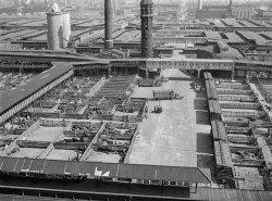 July 1941. "Union Stockyards. Chicago, Illinois." Medium format acetate negative by John Vachon for the Farm Security Administration. View full size.