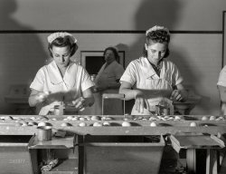 July 1941. "Breaking eggs in egg breaking plant. Chicago, Illinois." Medium format acetate negative by John Vachon for the Farm Security Administration. View full size.