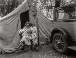 November 1936. "Mother and three children in a California squatter camp." 4x5 inch nitrate negative by Dorothea Lange for the Resettlement Administration. View full size.
&nbsp; &nbsp; &nbsp; &nbsp; Photo from this group of 211 images, which includes Lange's "Migrant Mother": Migrant agricultural workers in California in 1936. Photographs show squatter camps. Little Oklahoma. Families and their belongings in automobiles on the road. Car trouble along the road. Families existing in tent camps. Company housing for Mexican cotton pickers. Portraits of destitute migrants and their children. Hitch-hikers. Beet fields. Cotton pickers in the San Joaquin Valley. Lettuce and pea fields.