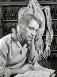 May 1942. Ames, Iowa. "Sophomore Doris Clausen of Boone, Iowa, in a physiology class at Iowa State College." Medium format acetate negative by Jack Delano. View full size.