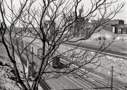 Spring 1938. "Philadelphia, Pennsylvania. Reading Railroad tracks with an abandoned brewery in the background." Medium format nitrate negative by Paul Vanderbilt for the Farm Security Administration. View full size.
