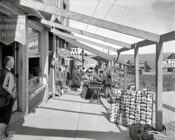 Petoskey, Michigan, circa 1906. "The midway." As the precious days of one's sojourn in Petoskey dwindle to their final hours, keep the magic alive with a unique souvenir. 8x10 inch glass negative, Detroit Publishing Co. View full size.